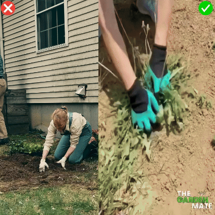 GardenMate™ - Clawed Gardening Gloves